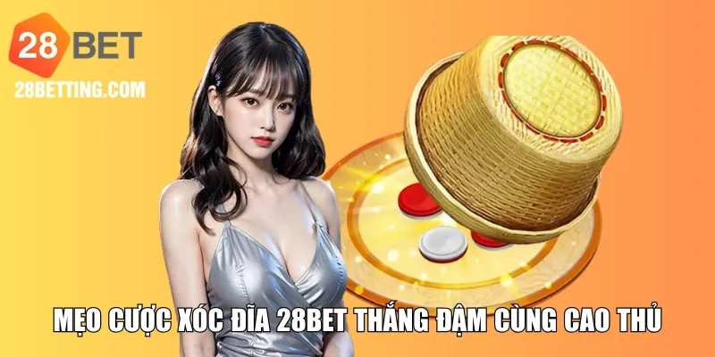 Mẹo cược Xóc Đĩa 28BET thắng đậm cùng cao thủ