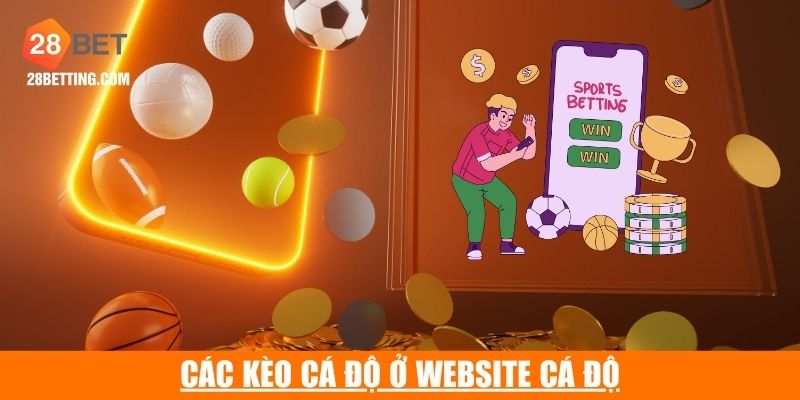 3 kèo đấu phổ biến tại website cá cược