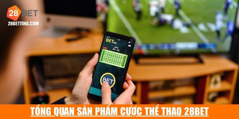 Đôi nét về sân chơi cá độ sports được yêu thích